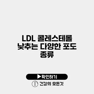 LDL 콜레스테롤 낮추는 다양한 포도 종류