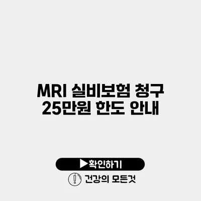 MRI 실비보험 청구 25만원 한도 안내