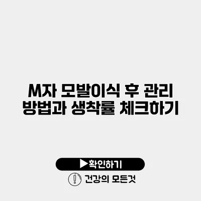 M자 모발이식 후 관리 방법과 생착률 체크하기