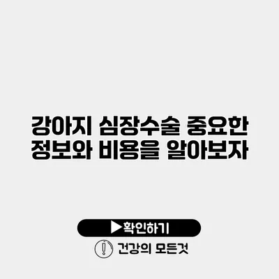 강아지 심장수술 중요한 정보와 비용을 알아보자