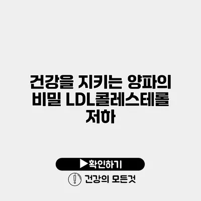 건강을 지키는 양파의 비밀 LDL콜레스테롤 저하