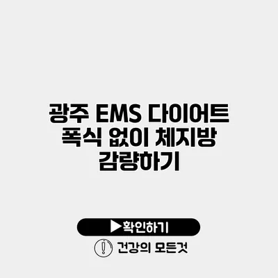 광주 EMS 다이어트 폭식 없이 체지방 감량하기