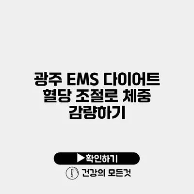 광주 EMS 다이어트 혈당 조절로 체중 감량하기