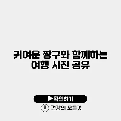 귀여운 짱구와 함께하는 여행 사진 공유