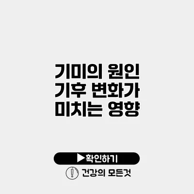 기미의 원인 기후 변화가 미치는 영향