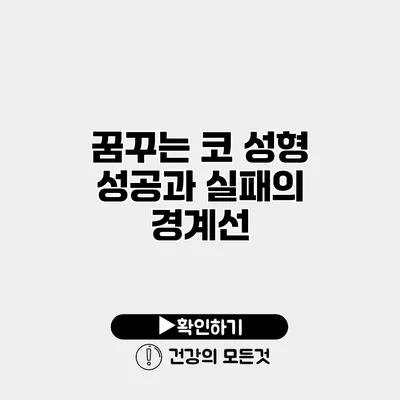 꿈꾸는 코 성형 성공과 실패의 경계선