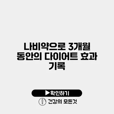 나비약으로 3개월 동안의 다이어트 효과 기록