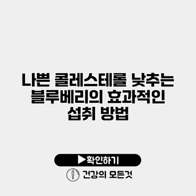 나쁜 콜레스테롤 낮추는 블루베리의 효과적인 섭취 방법