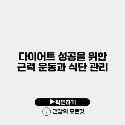 다이어트 성공을 위한 근력 운동과 식단 관리