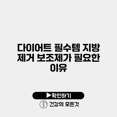 다이어트 필수템 지방 제거 보조제가 필요한 이유