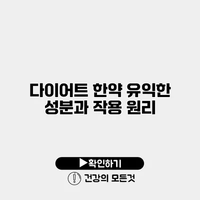 다이어트 한약 유익한 성분과 작용 원리