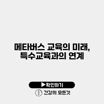 메타버스 교육의 미래, 특수교육과의 연계