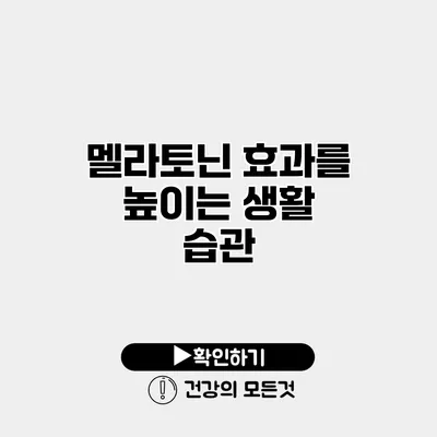 멜라토닌 효과를 높이는 생활 습관