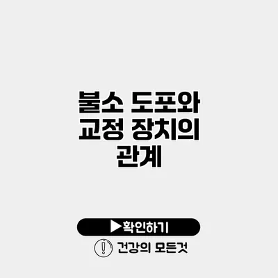 불소 도포와 교정 장치의 관계