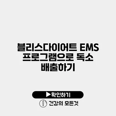 블리스다이어트 EMS 프로그램으로 독소 배출하기