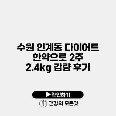 수원 인계동 다이어트 한약으로 2주 2.4kg 감량 후기