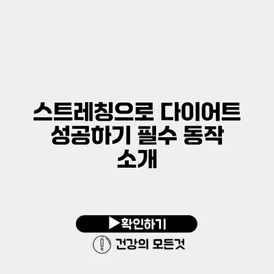 스트레칭으로 다이어트 성공하기 필수 동작 소개