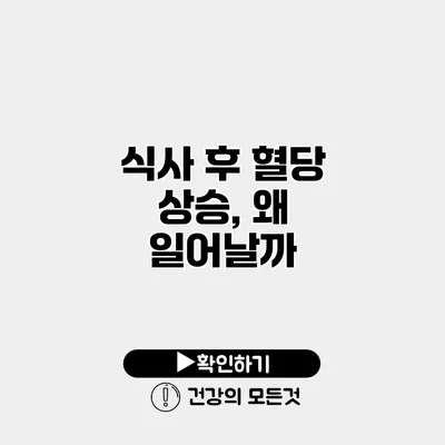 식사 후 혈당 상승, 왜 일어날까?