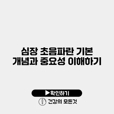 심장 초음파란? 기본 개념과 중요성 이해하기