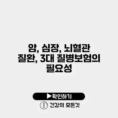 암, 심장, 뇌혈관 질환, 3대 질병보험의 필요성