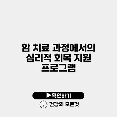 암 치료 과정에서의 심리적 회복 지원 프로그램