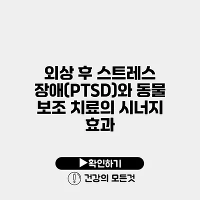 외상 후 스트레스 장애(PTSD)와 동물 보조 치료의 시너지 효과