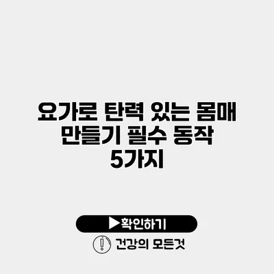 요가로 탄력 있는 몸매 만들기 필수 동작 5가지