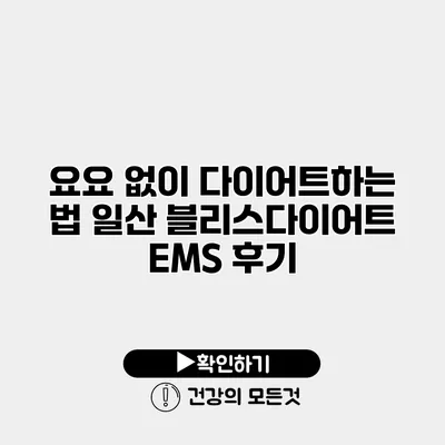 요요 없이 다이어트하는 법 일산 블리스다이어트 EMS 후기