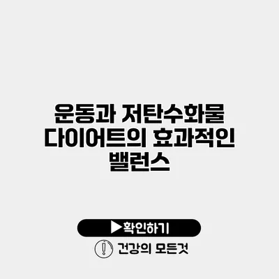 운동과 저탄수화물 다이어트의 효과적인 밸런스