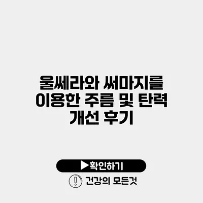 울쎄라와 써마지를 이용한 주름 및 탄력 개선 후기