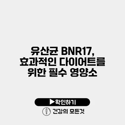 유산균 BNR17, 효과적인 다이어트를 위한 필수 영양소