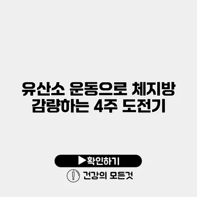 유산소 운동으로 체지방 감량하는 4주 도전기