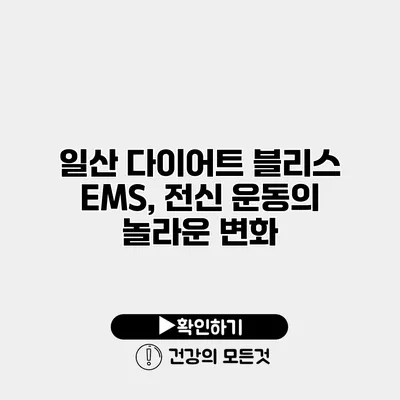 일산 다이어트 블리스 EMS, 전신 운동의 놀라운 변화