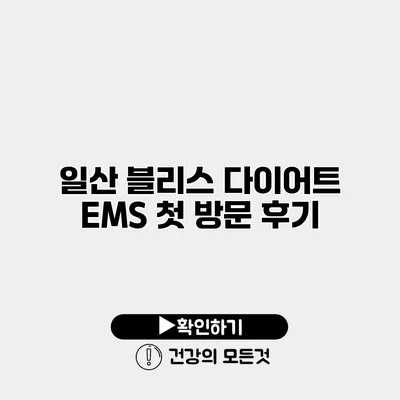 일산 블리스 다이어트 EMS 첫 방문 후기