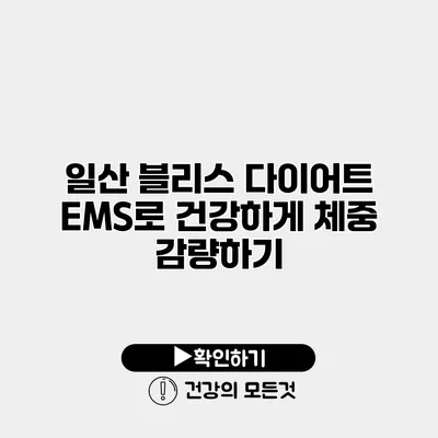 일산 블리스 다이어트 EMS로 건강하게 체중 감량하기