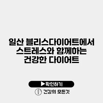 일산 블리스다이어트에서 스트레스와 함께하는 건강한 다이어트