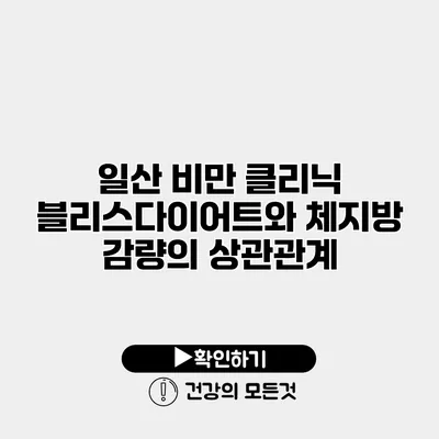 일산 비만 클리닉 블리스다이어트와 체지방 감량의 상관관계