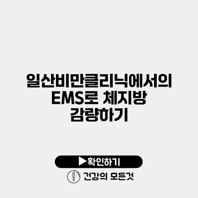 일산비만클리닉에서의 EMS로 체지방 감량하기
