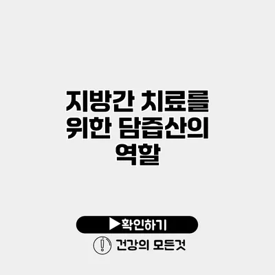 지방간 치료를 위한 담즙산의 역할
