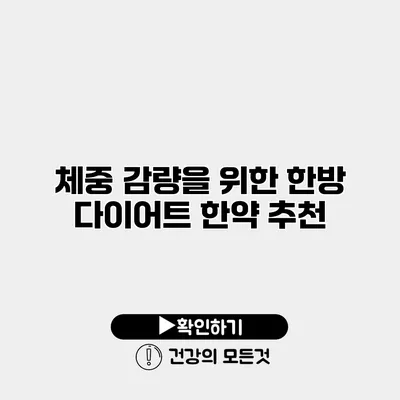 체중 감량을 위한 한방 다이어트 한약 추천