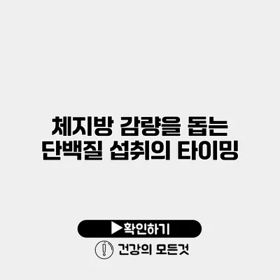 체지방 감량을 돕는 단백질 섭취의 타이밍