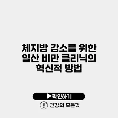 체지방 감소를 위한 일산 비만 클리닉의 혁신적 방법