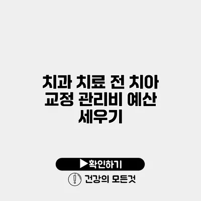 치과 치료 전 치아 교정 관리비 예산 세우기
