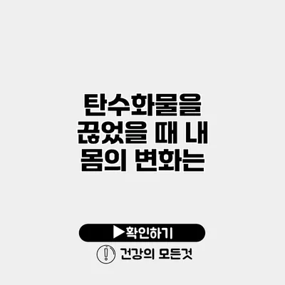 탄수화물을 끊었을 때 내 몸의 변화는?