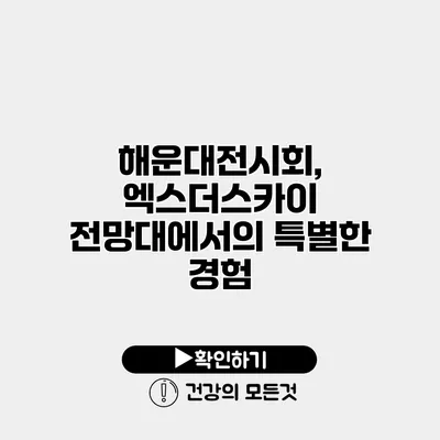해운대전시회, 엑스더스카이 전망대에서의 특별한 경험