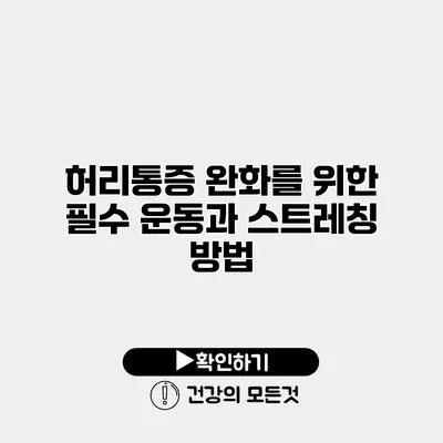 허리통증 완화를 위한 필수 운동과 스트레칭 방법