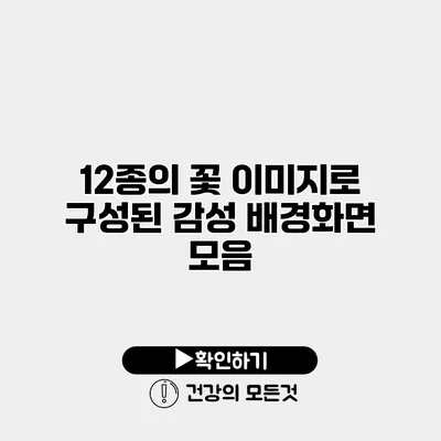12종의 꽃 이미지로 구성된 감성 배경화면 모음