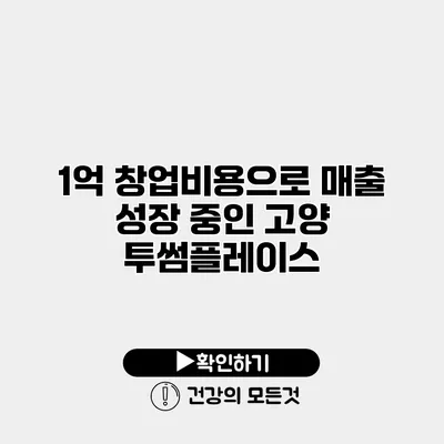 1억 창업비용으로 매출 성장 중인 고양 투썸플레이스
