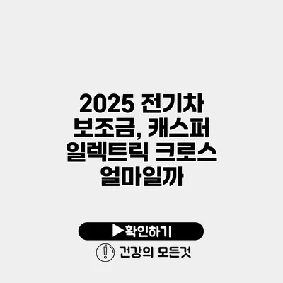 2025 전기차 보조금, 캐스퍼 일렉트릭 크로스 얼마일까?