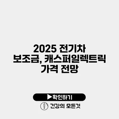 2025 전기차 보조금, 캐스퍼일렉트릭 가격 전망